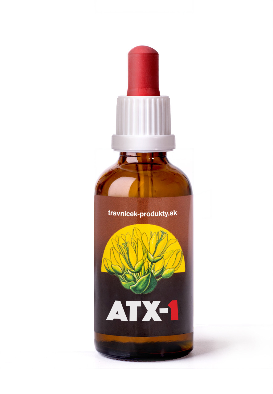ATX - 1