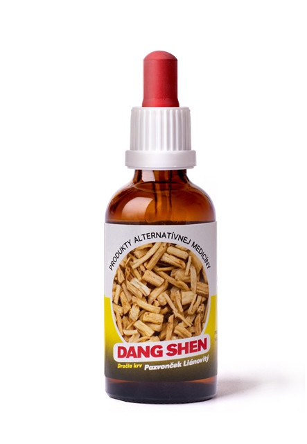  Dang-Shen