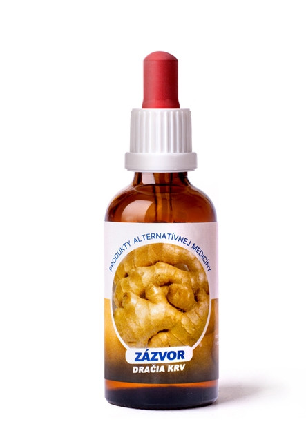 Zázvor