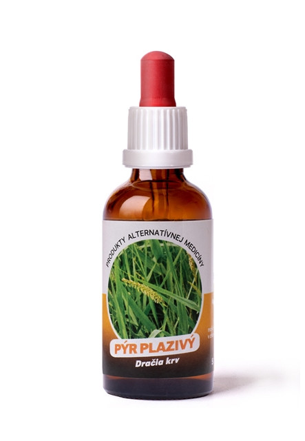 Pýr plazivy 