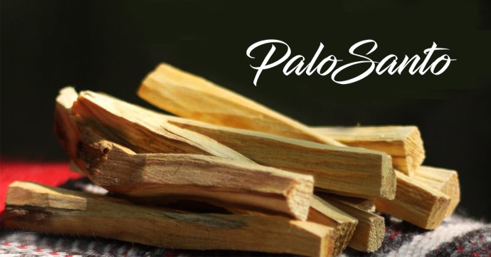 Palo Santo - použitie a výhody vzácneho dreva v podobe esencie